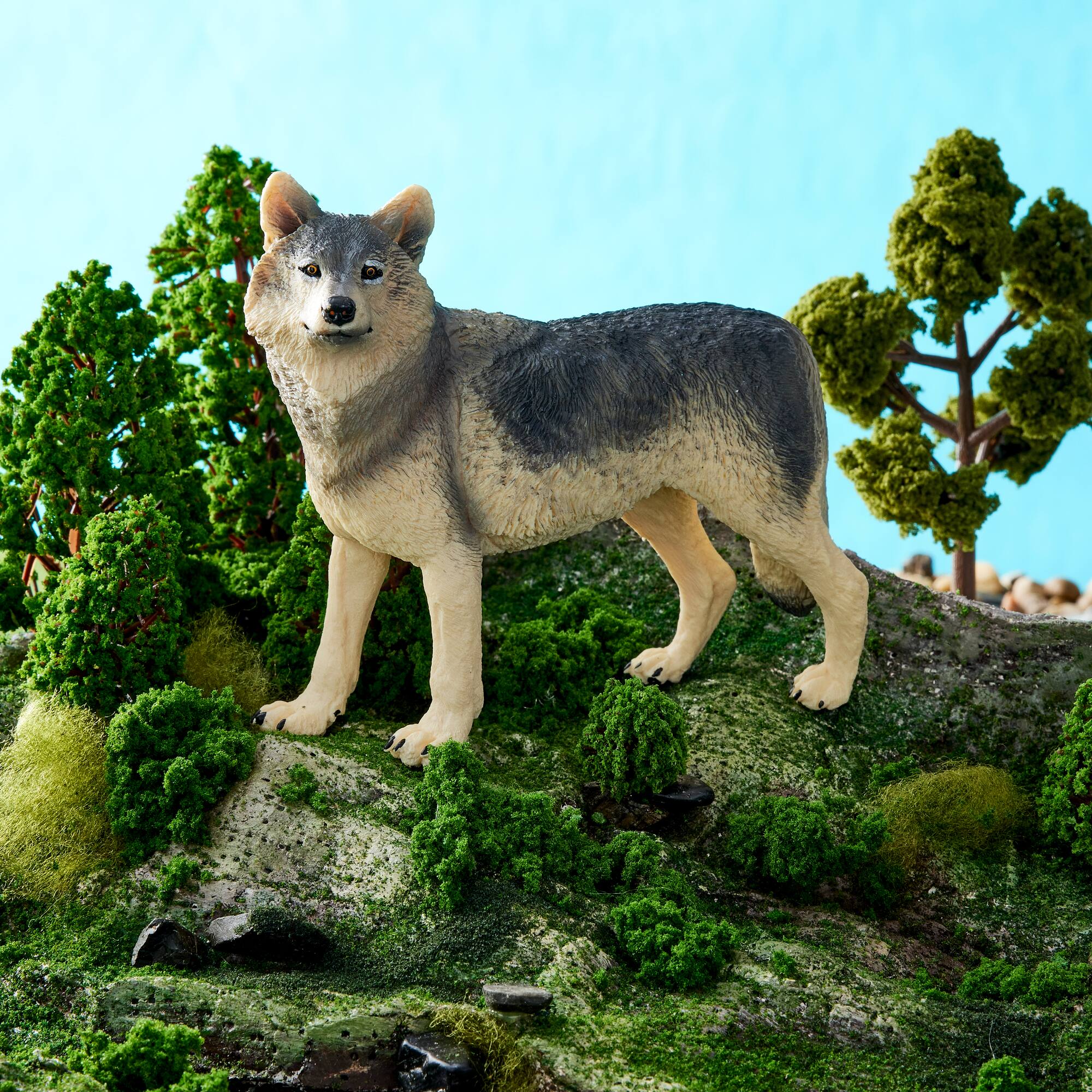 Safari Ltd® Wolf
